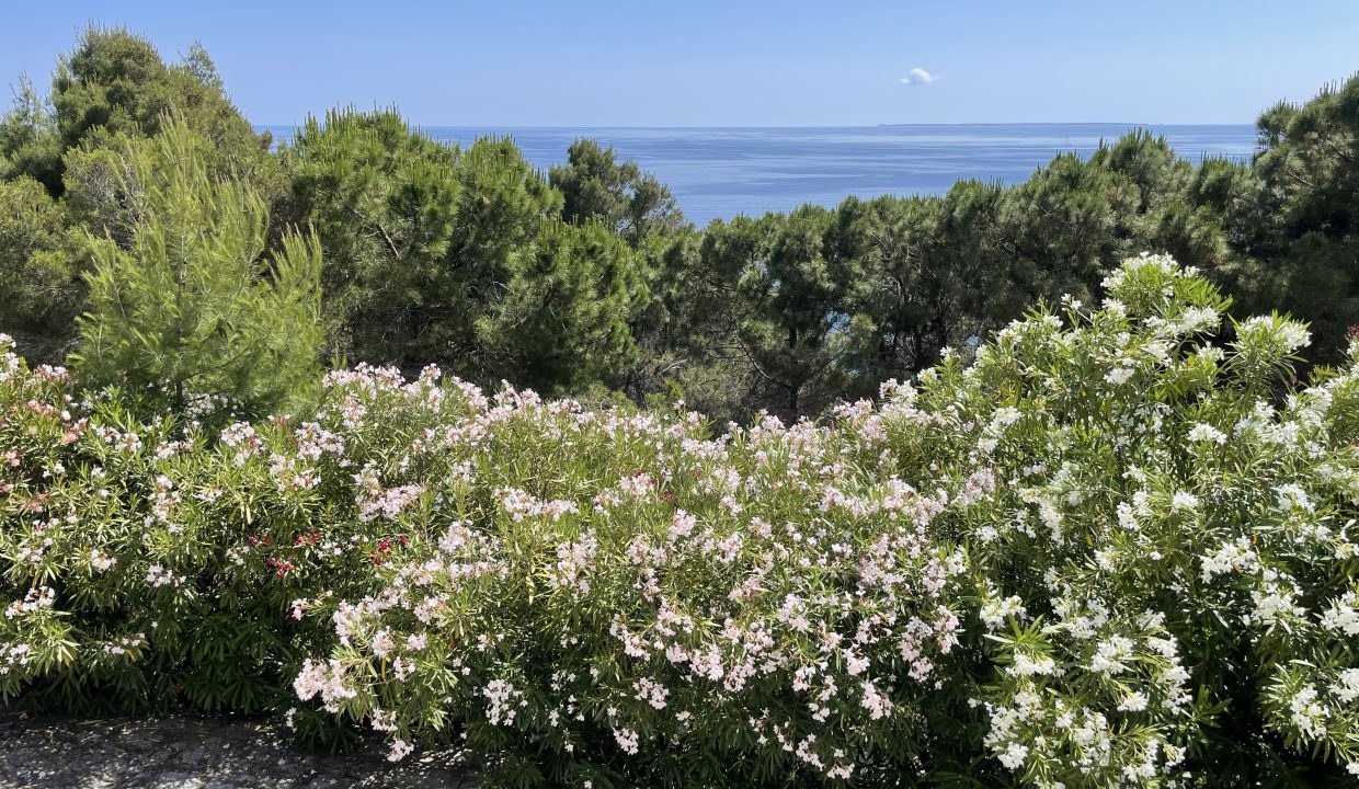 Villa Isola d'Elba