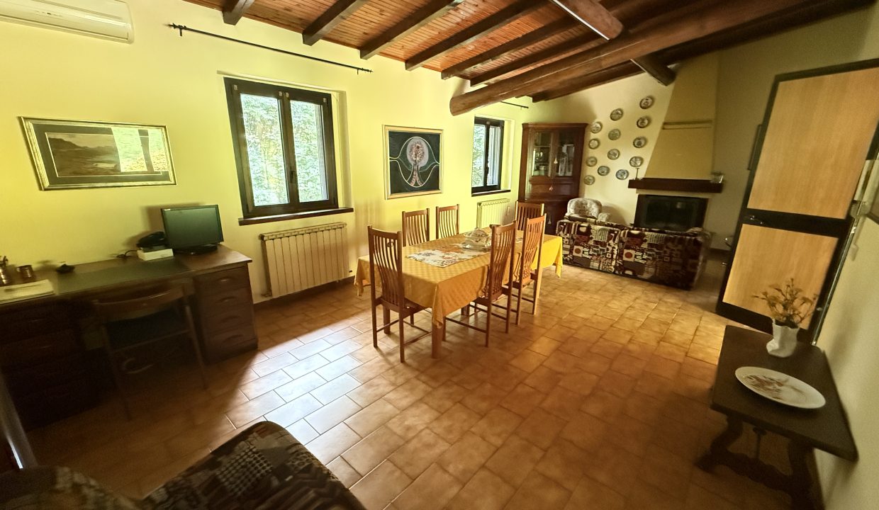 VILLA CON PISCINA COMO (55)