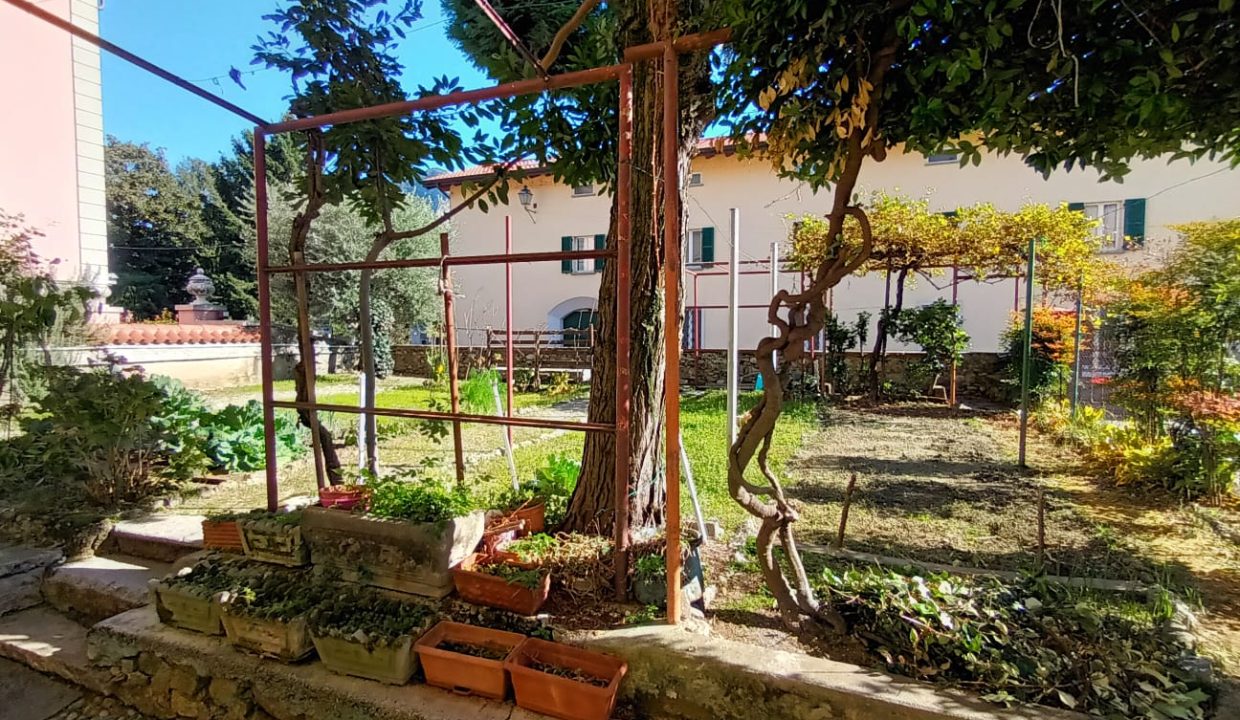 TERRATETTO OLGINATE (18)
