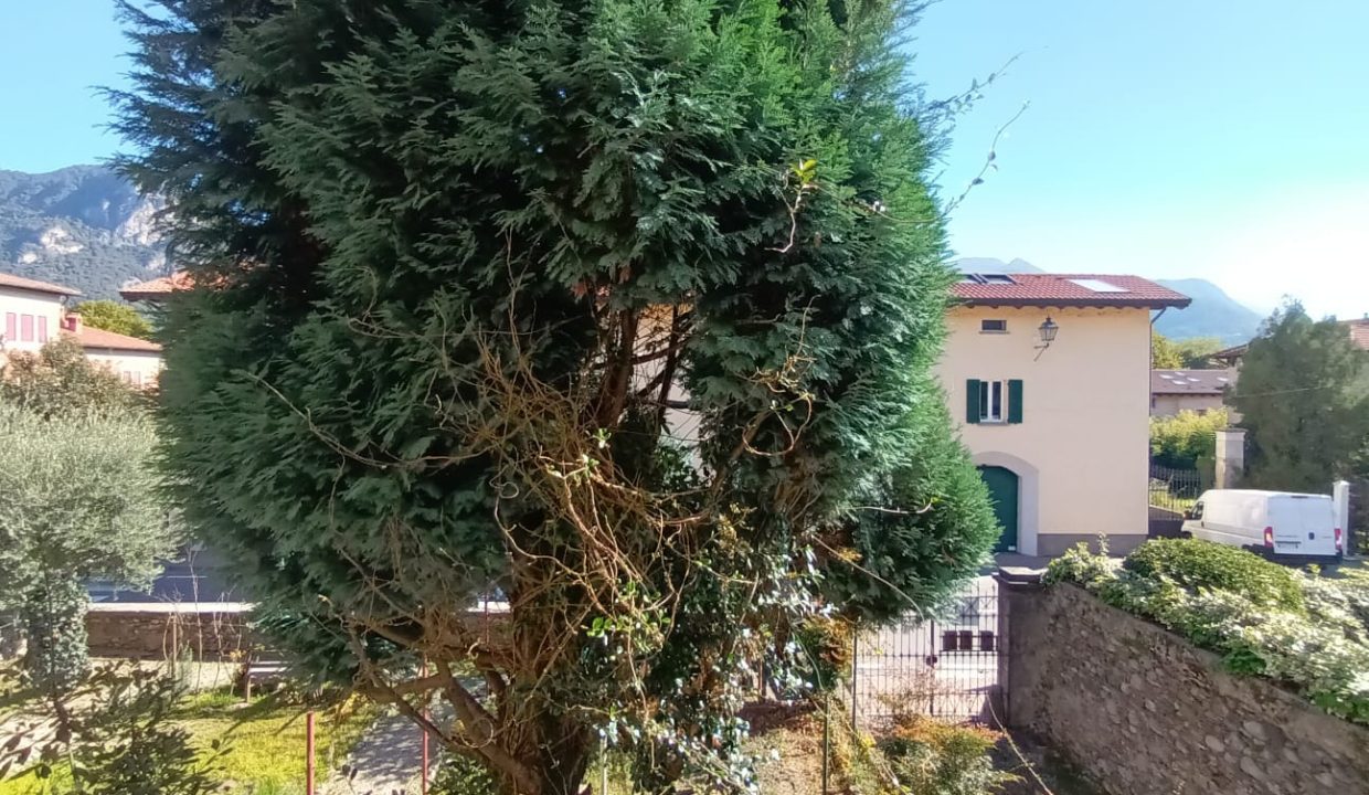 TERRATETTO OLGINATE (31)