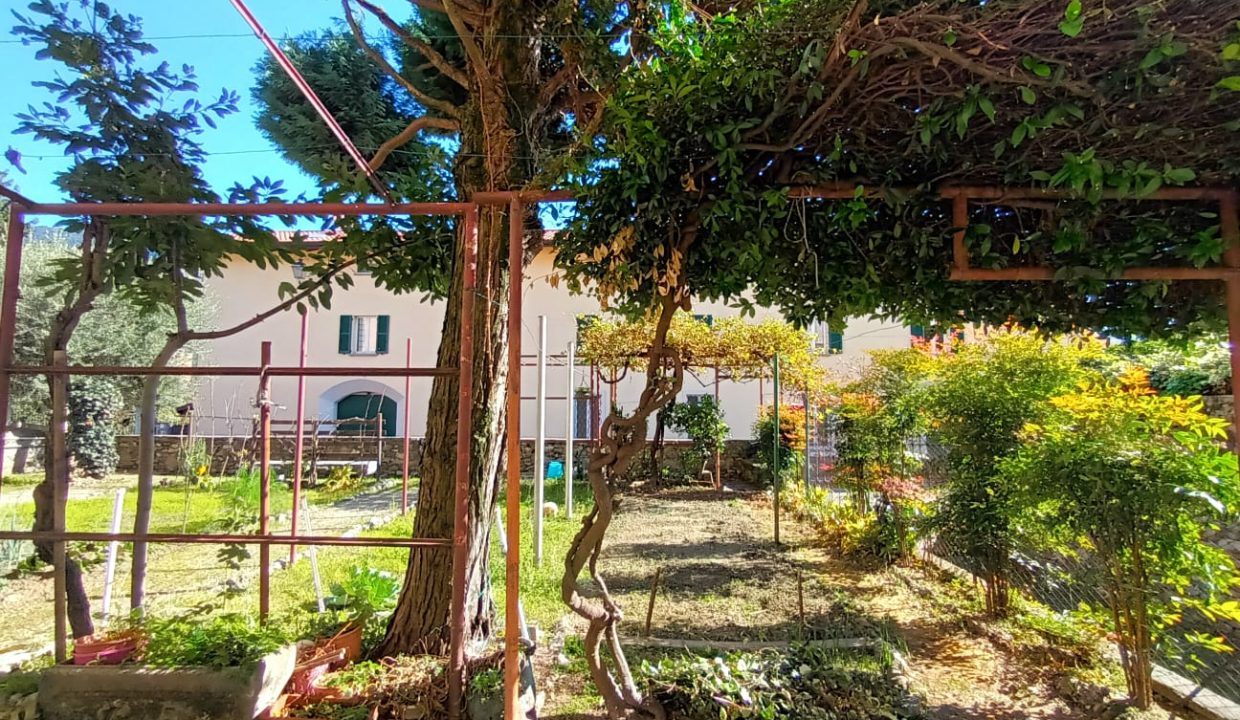 TERRATETTO OLGINATE (52)