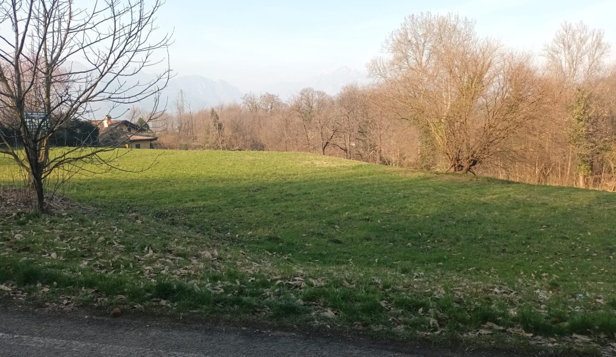 TERRENO ELLO