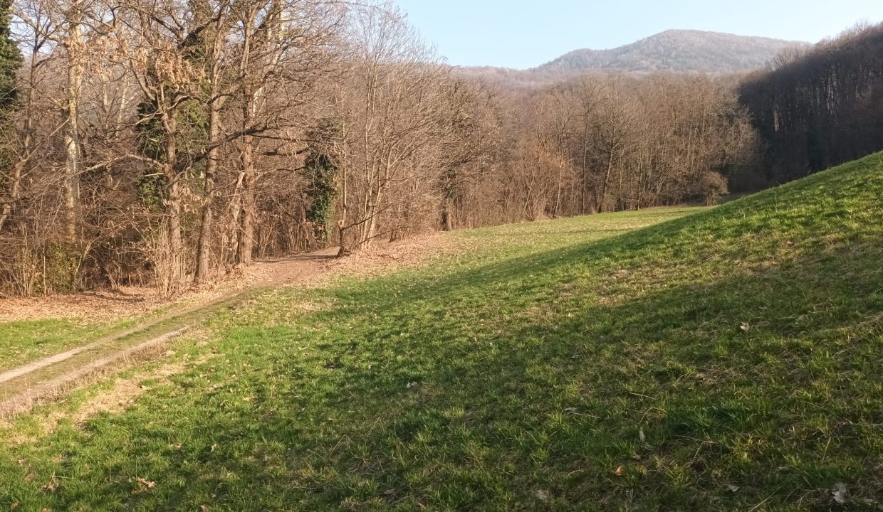 WhatsApp Image 2026-02-27 at 09.46.45(1)