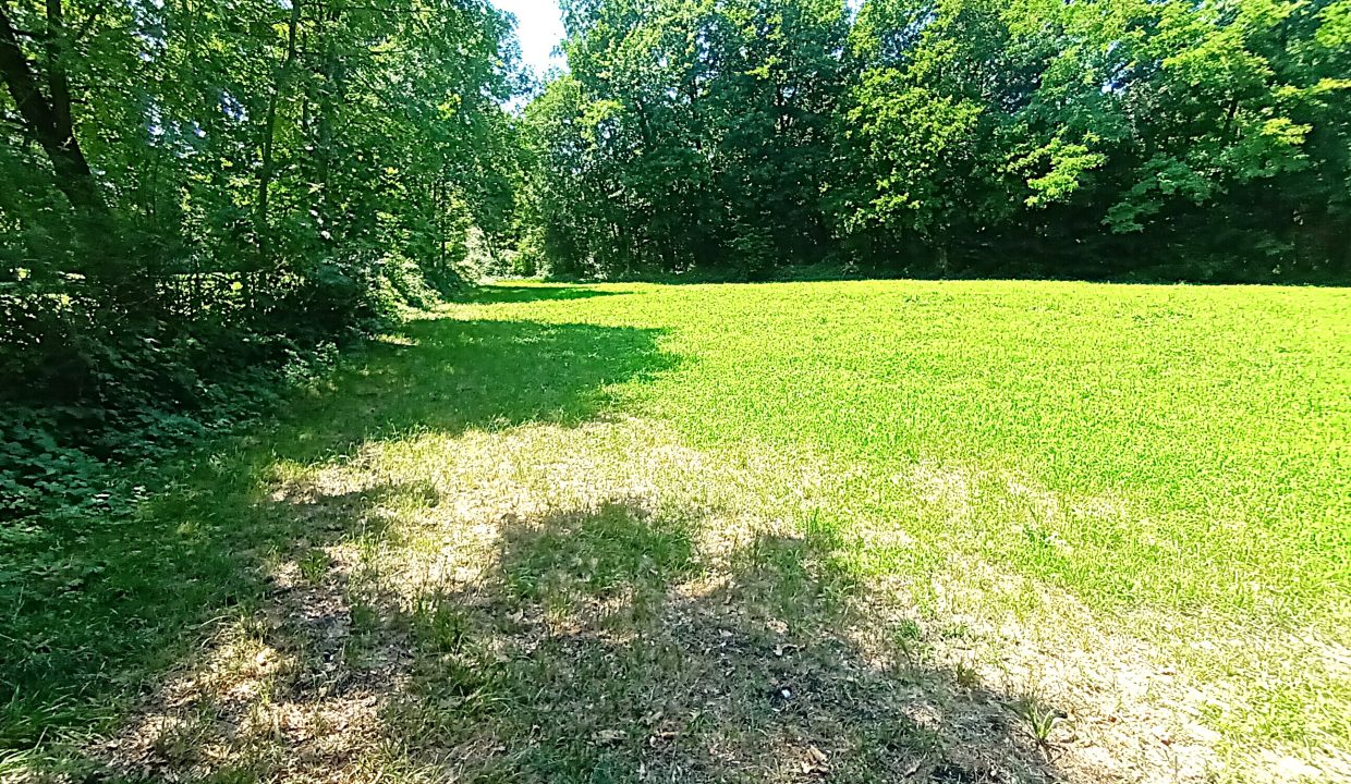 20260721_140801