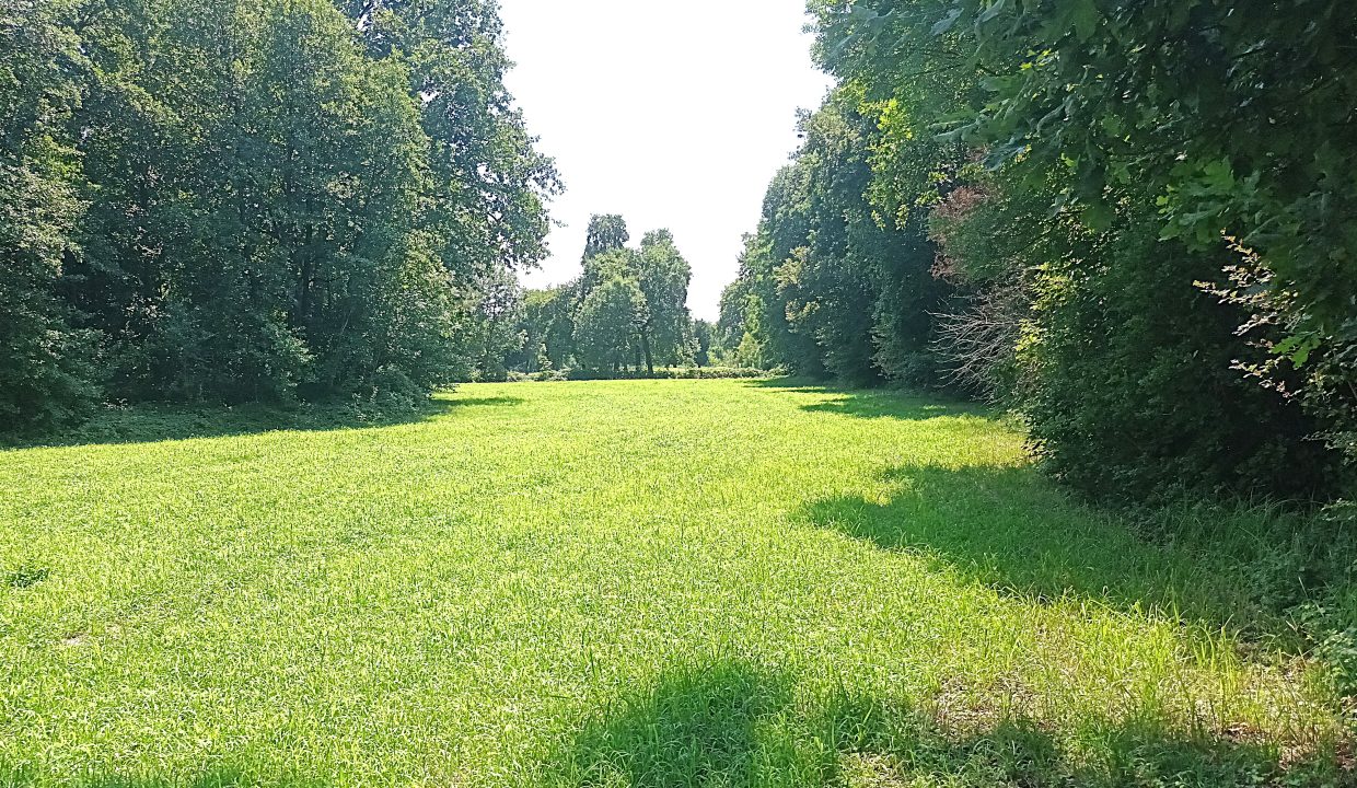 20260721_141542