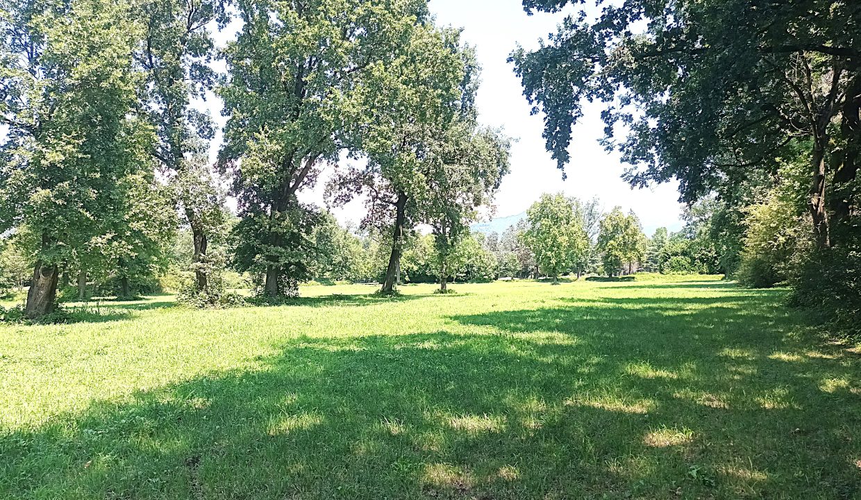 20260721_141629