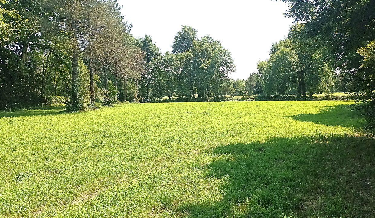 20260721_141743