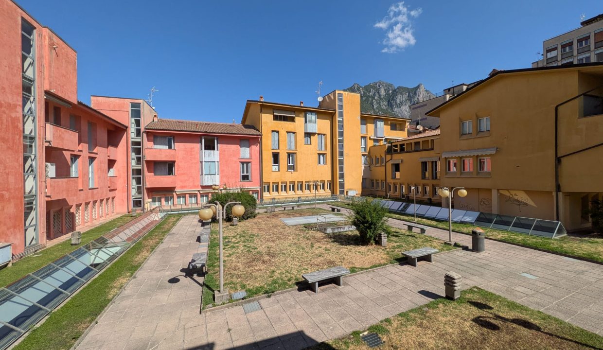 vista 3